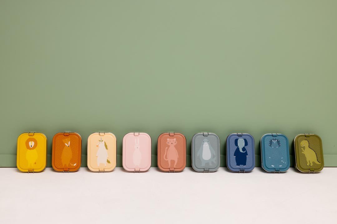 Large Lunch Box - Mr. Dino - Kindeco