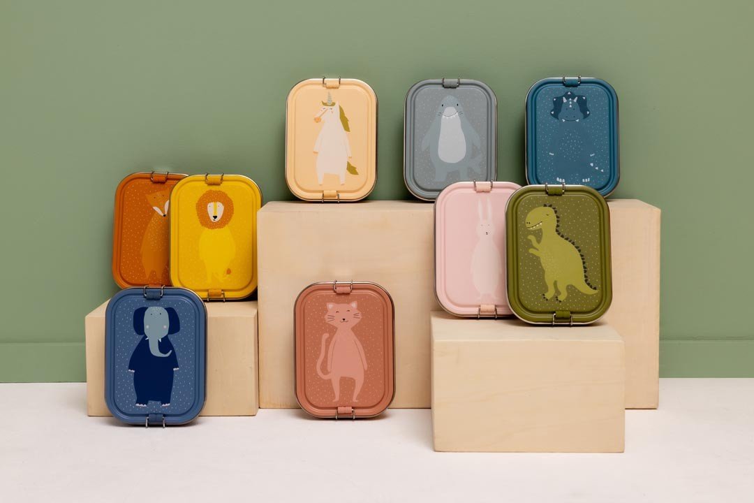 Large Lunch Box - Mr. Dino - Kindeco