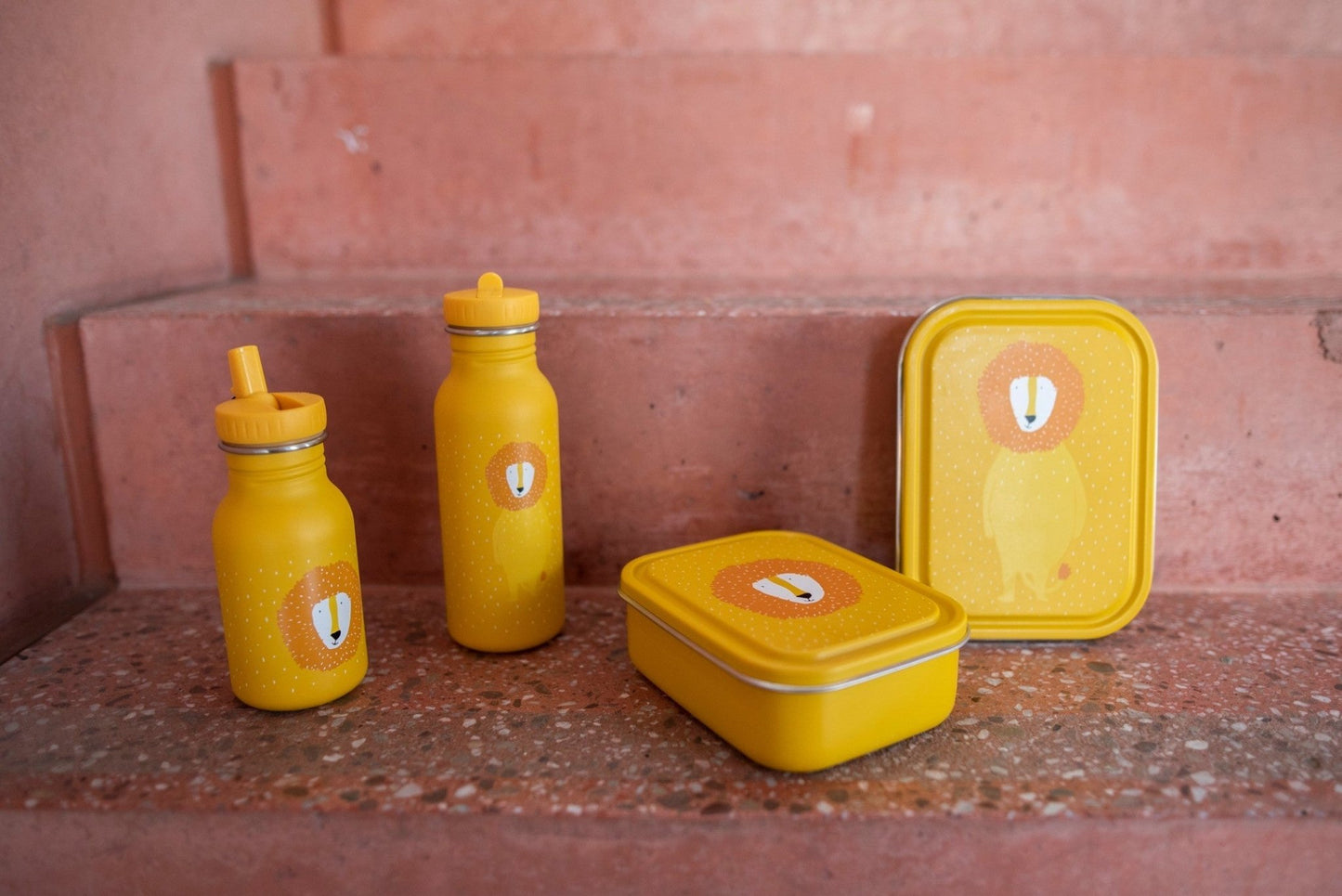 Large Lunch Box - Mr. Lion - Kindeco