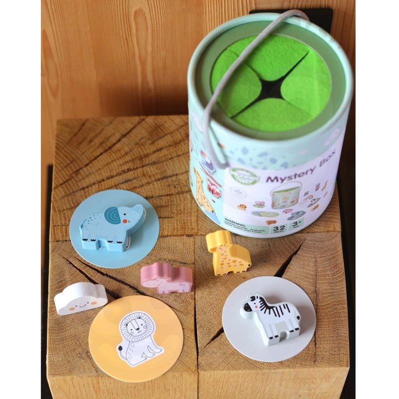Mystery Box Touch and Match Game - Kindeco