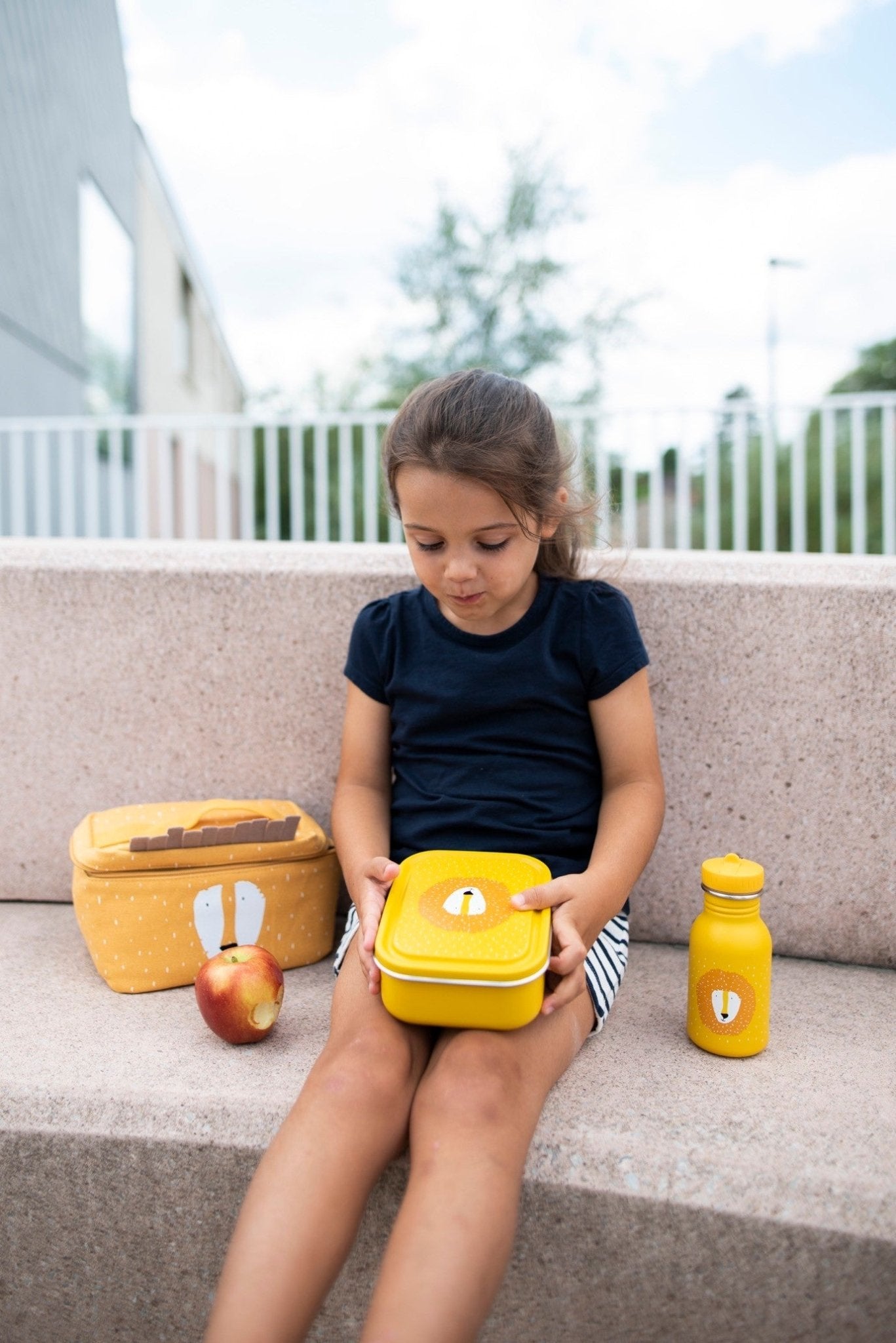 Small Lunch Box - Mr. Lion - Kindeco