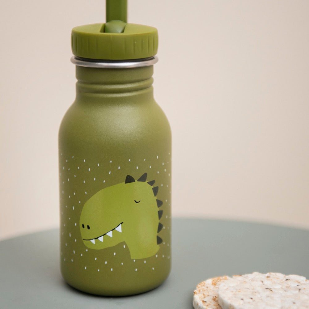 Stainless Steel Bottle 350 ml - Mr Dino - Kindeco
