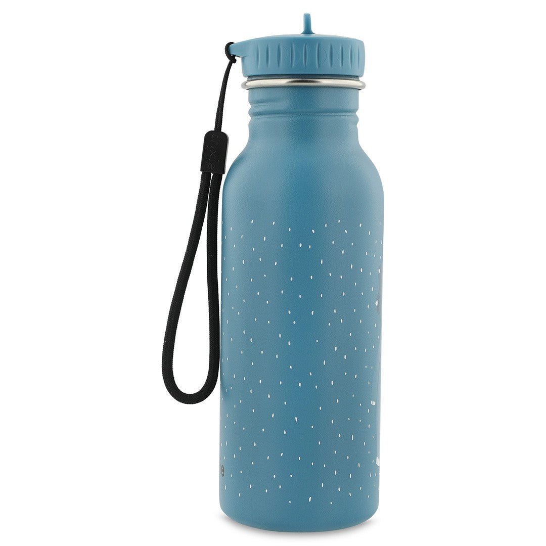 Stainless Steel Bottle 500 ml - Mr. Triceratops - Kindeco