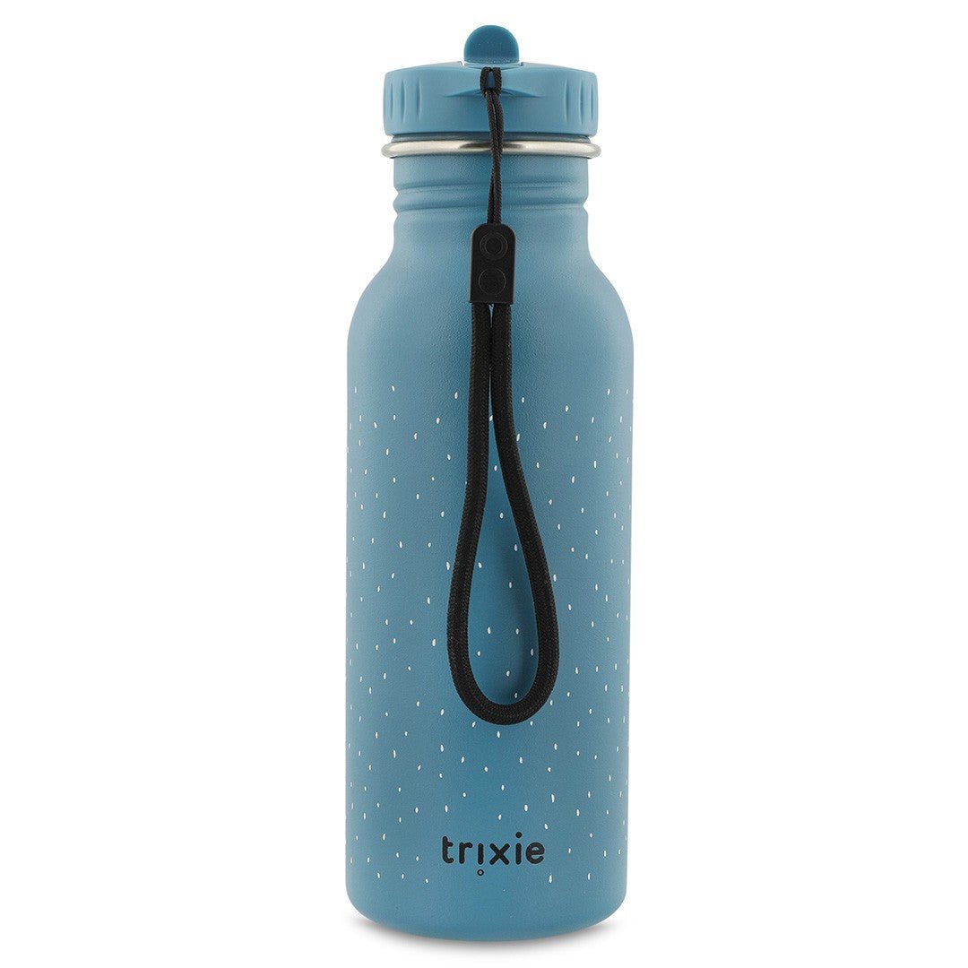 Stainless Steel Bottle 500 ml - Mr. Triceratops - Kindeco